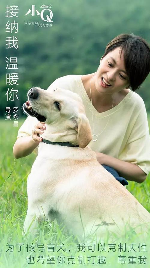 体检表做假的
